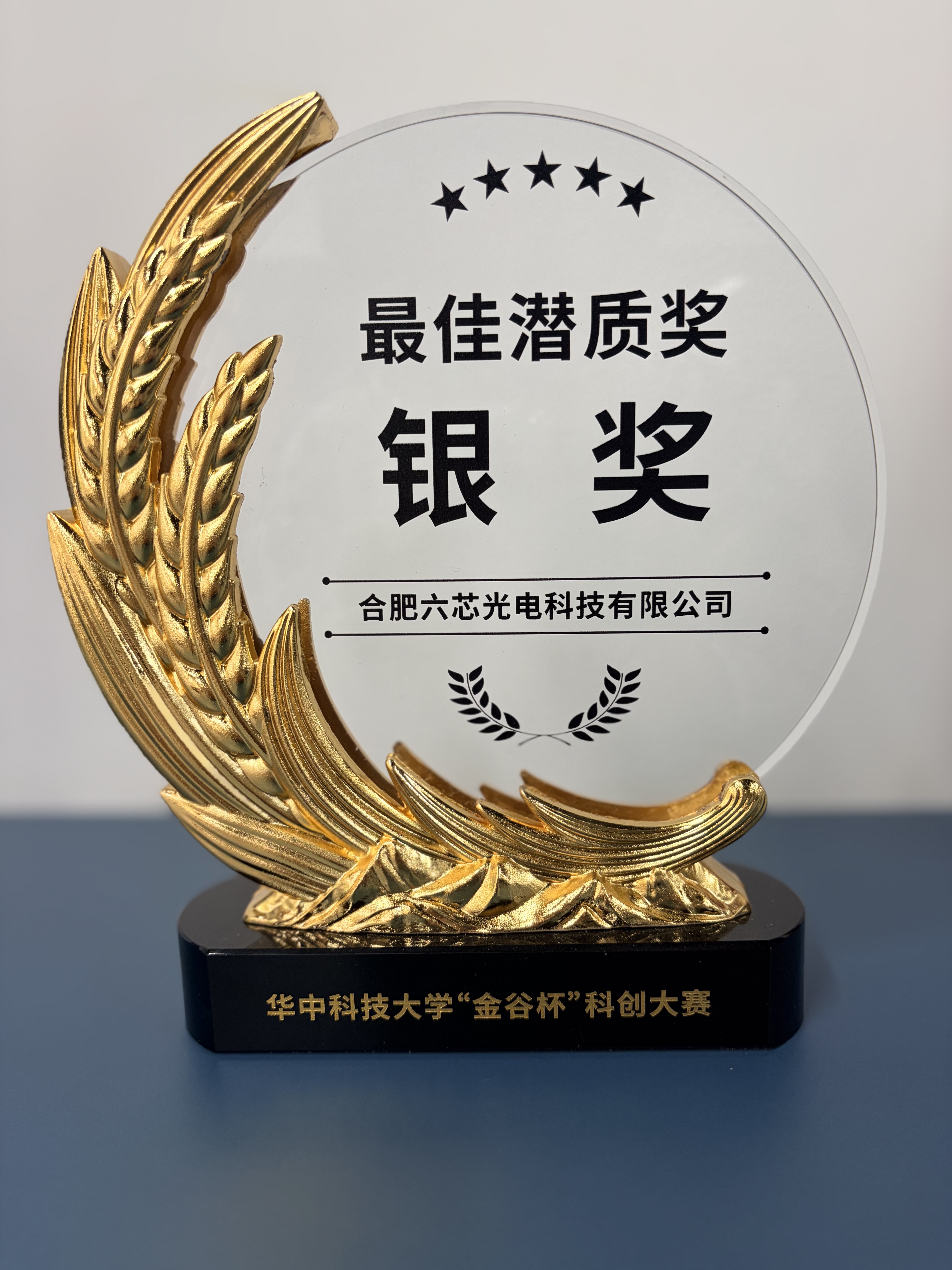 最佳潜质银奖
